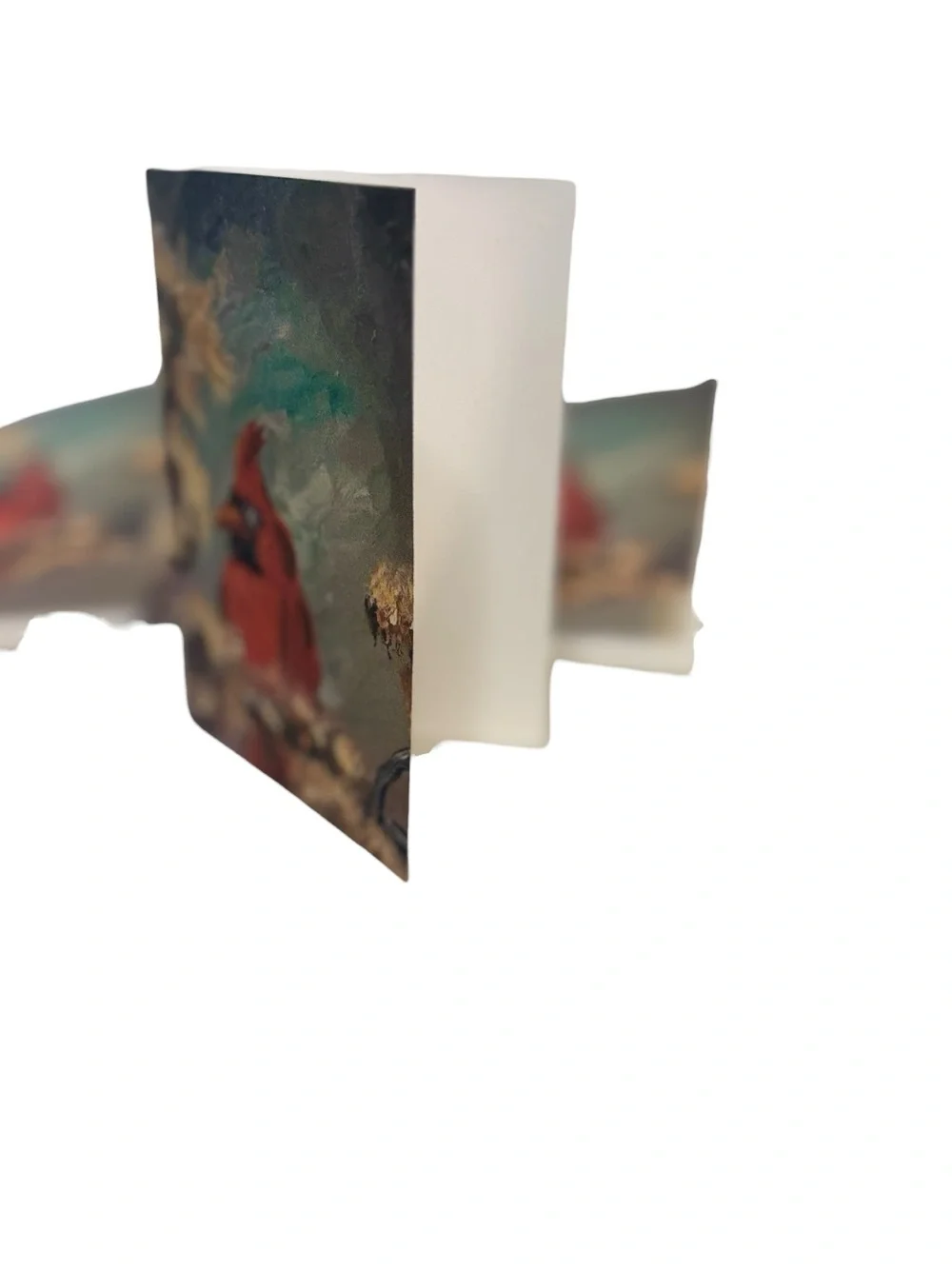 Cardinal Remembrance Greeting Card Set of 5 by Briefcase Artist
